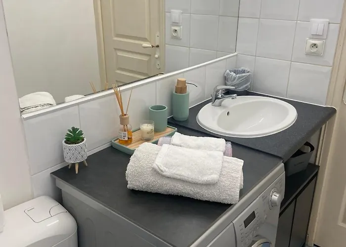 Cosy Avec Jardin Proche Centre . *